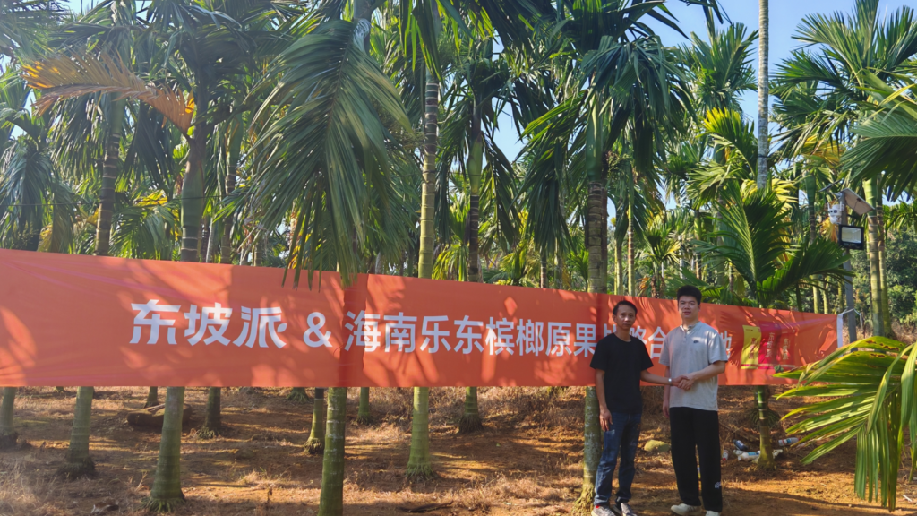 一棵树要等七年：东坡派把供应链往海南果林里再走了一步新闻封面